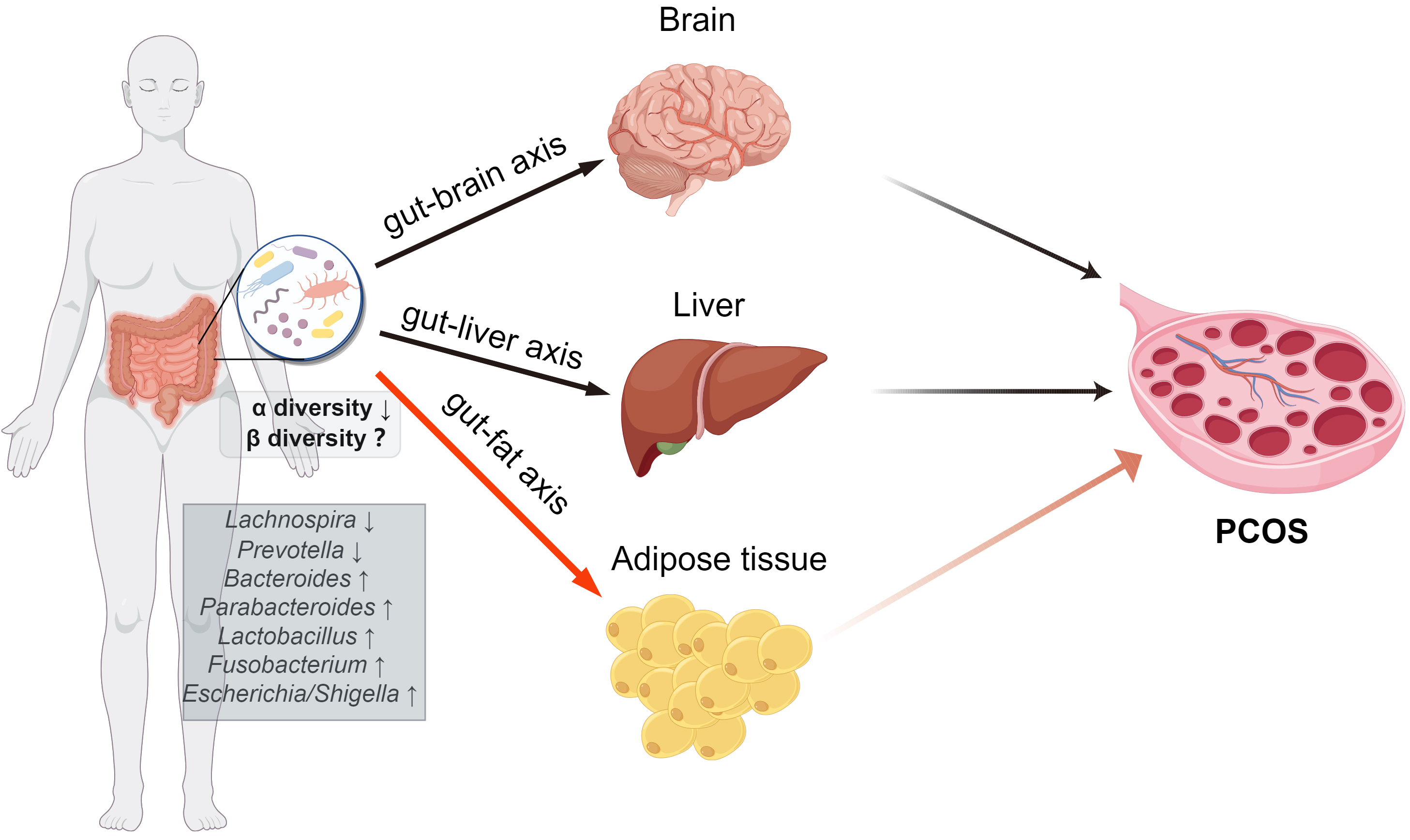 Metabolite Profiling for PCOS