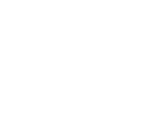 banner-vector-bottom