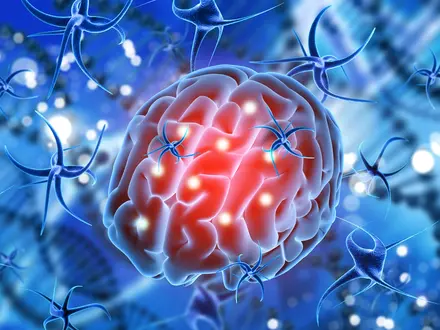 Acute Encephalitis Syndrome: Causes, Symptoms & Testing