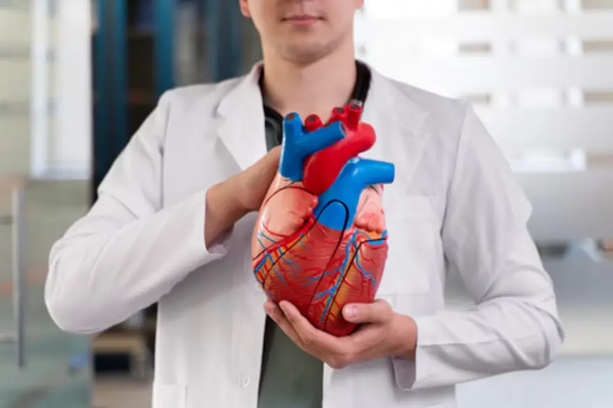 Angiogram: A Close Look at Your Blood Vessels