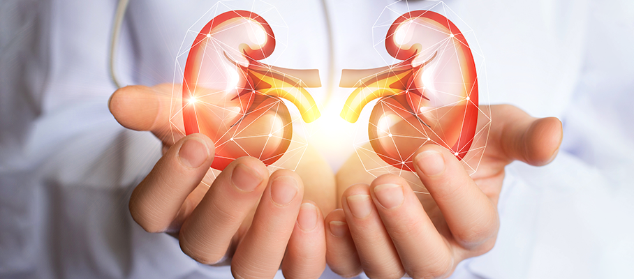 Metropolis announces launch of New Antibody Test for Major Kidney Disease