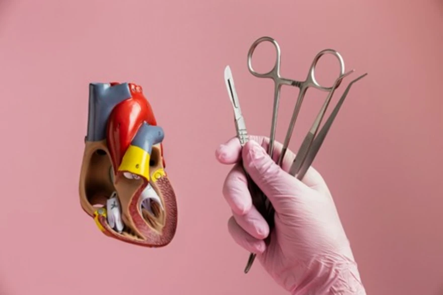 Aortic Dissection: Warning Signs, Urgent Care & Outcomes