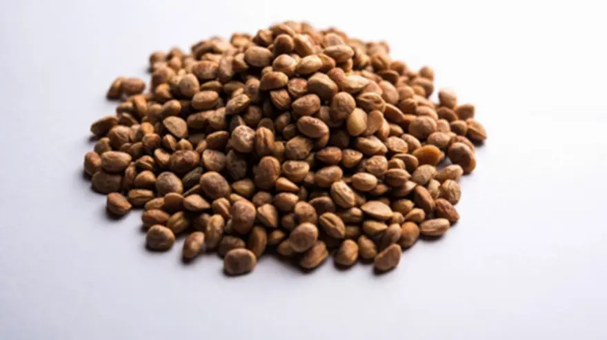 Chironji Seeds: Lesser-Known Nutritional Benefits You Must Know