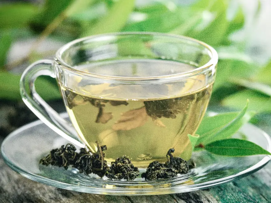 Benefits of Drinking Green Tea: Is It Good for You?