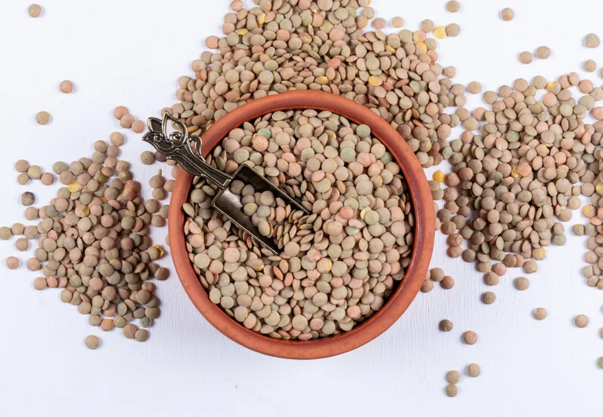 Lentils: Nutrition, Benefits, and How to Cook Them
