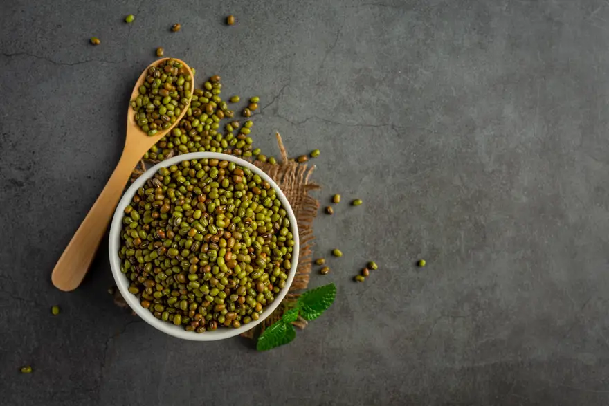 How Much Protein Is In Sprouts? Nutritional Value & Benefits