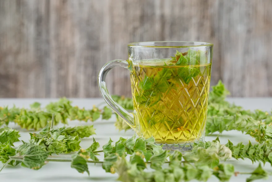 Health Benefits of Tulsi (Basil) For Diabetes Patients: Nutritional Value, and Uses