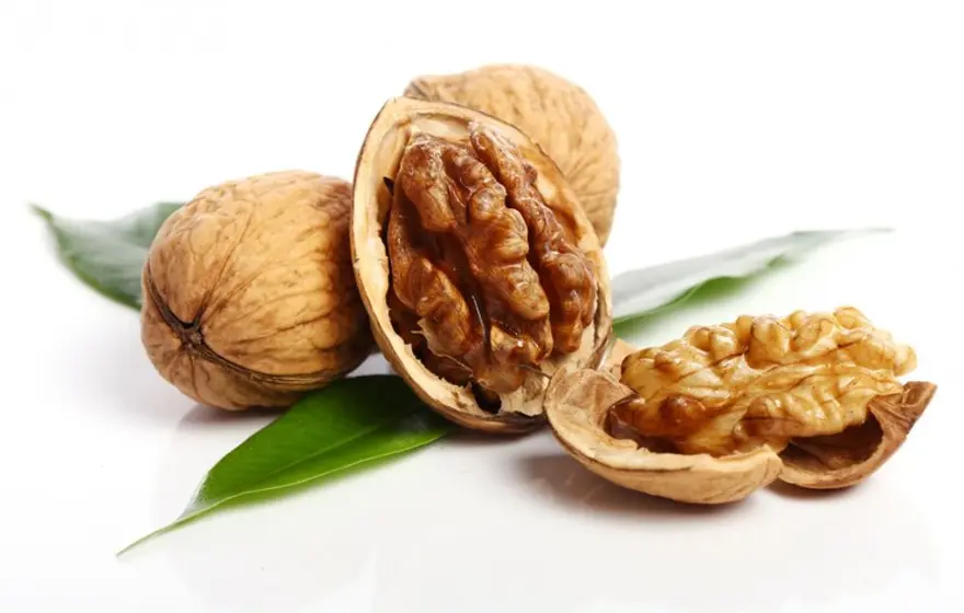 Benefits of Walnuts During Pregnancy: Nutritional Value and Health Advantages