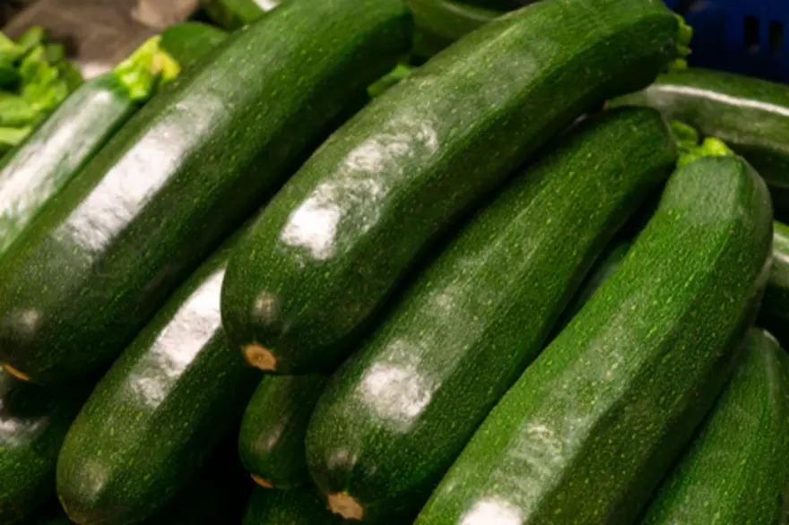 Benefits Of Zucchini: Top Health Benefits & How to Use Safely