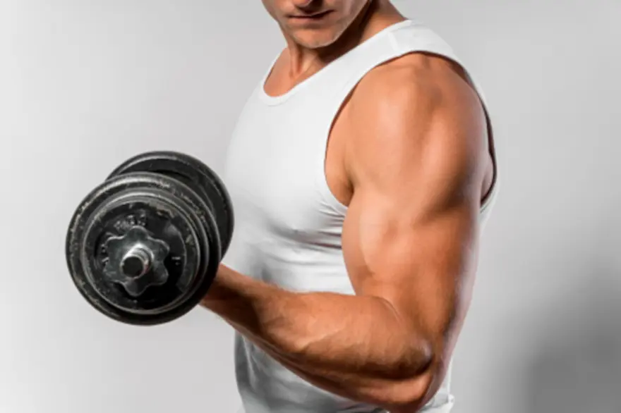 Biceps: Anatomy, Function, and Treatment