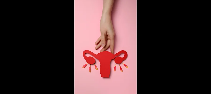 Bicornuate Uterus: Causes, Symptoms, and Diagnosis