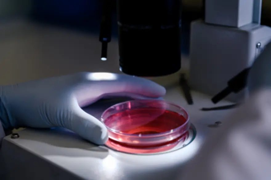 Biopsy: Types, Purpose, Risks & Results