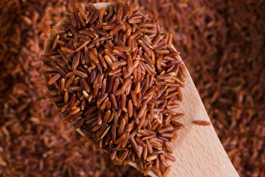 ?????? ??????????? ???????????? ??????? ????? ???????? ???? ??? ??????? 10 ?????????