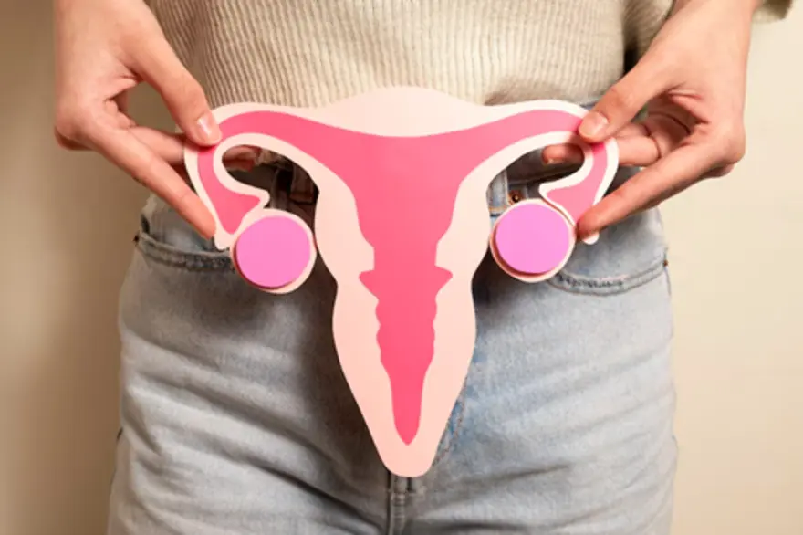 Bulky Uterus: Causes, Symptoms & Treatment Explained