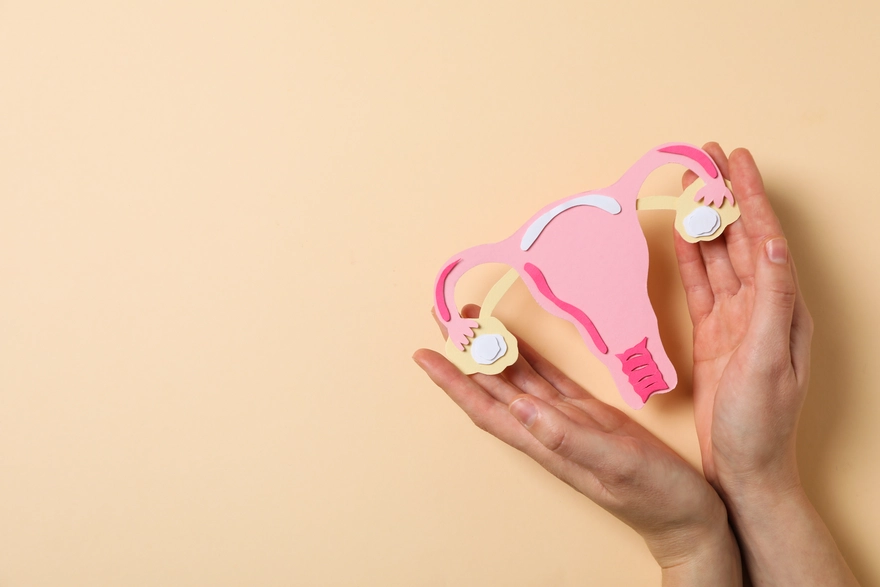 Cervix: Functions, Health, And Common Concerns