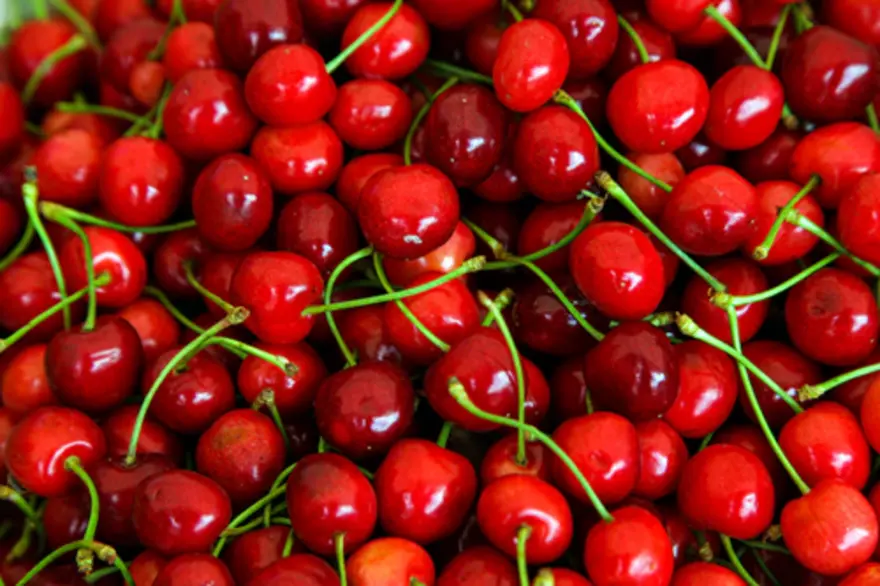 Top Health Benefits of Cherry Fruit
