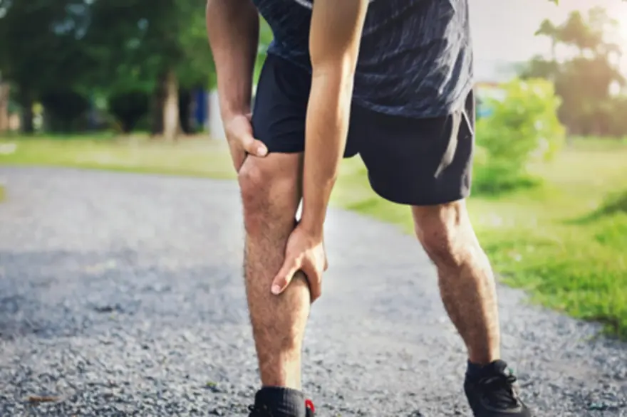Ligaments: Structure, Function, and Common Injuries