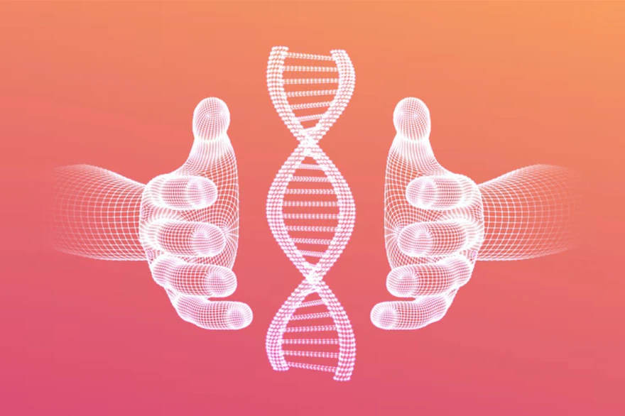 DNA Paternity Test: Accuracy, Process & Legal Use