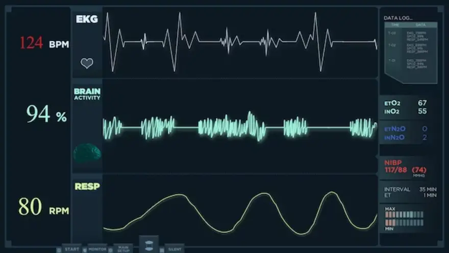 Understanding Echocardiogram: Echo Tests Insights