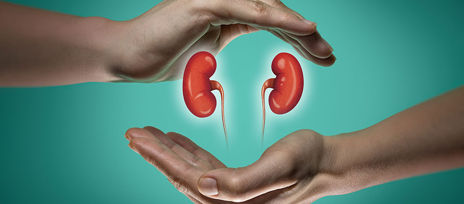 6 Tips: How To Keep Your Kidneys Healthy By Maintaining a Healthy Lifestyle & Diet