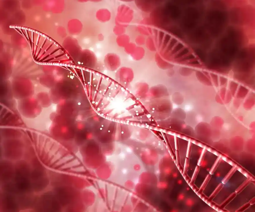 Understanding Haemophilia Blood and Genetic Testing