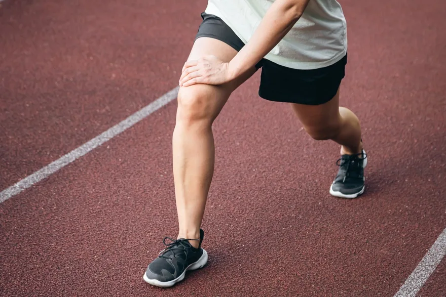 Hamstring Muscles: Anatomy, Function, and Common Injuries