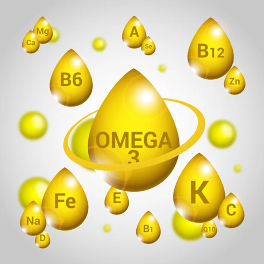How Do Omega 3 Fatty Acids Support Overall Health and Well-Being?