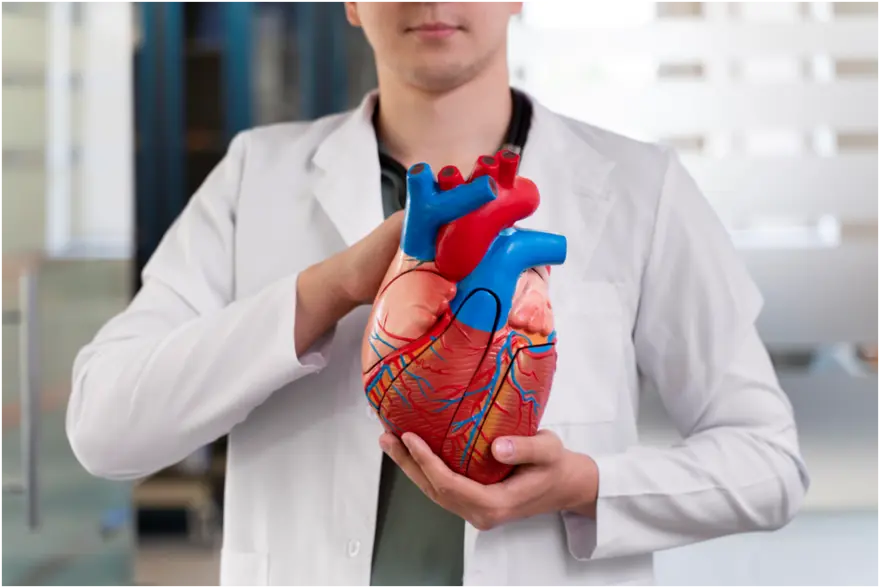 Heart Blockage: Symptoms, Types & Treatment