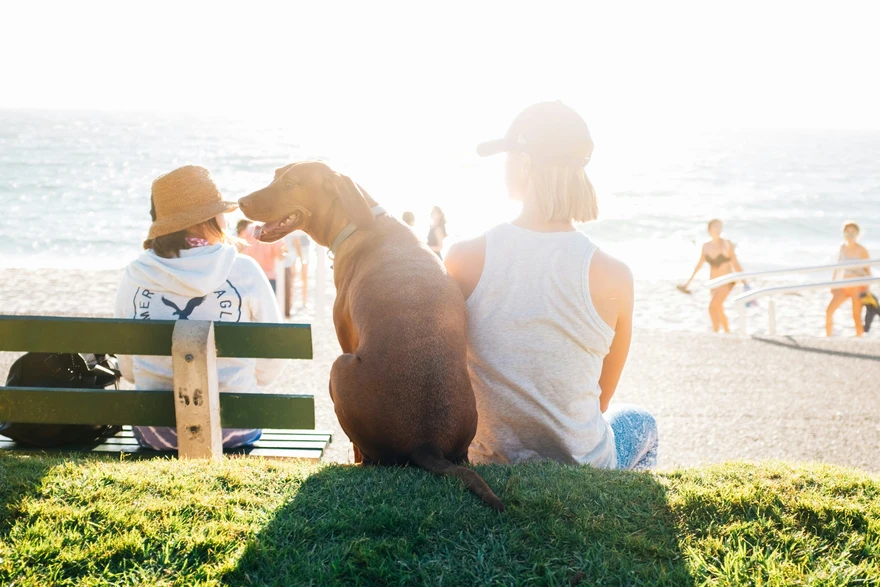Heat Exhaustion: Symptoms, First Aid & Prevention Tips