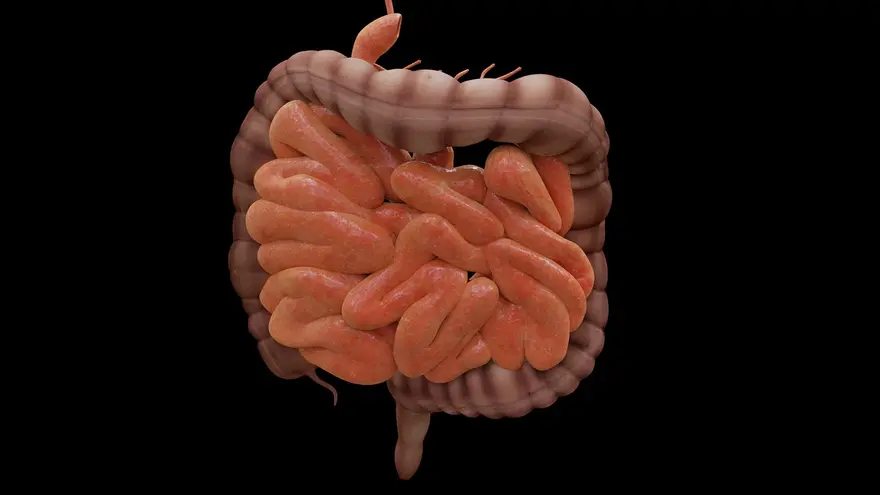 Deciphering Hirschsprung's Disease: Understanding Symptoms, Diagnosis, and Treatment Approaches