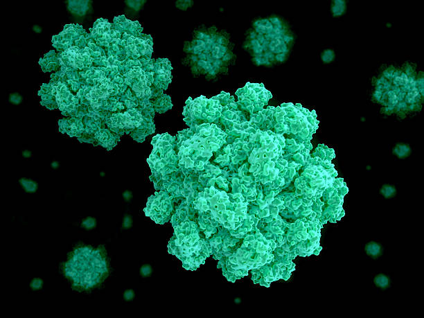 How To Stay Safe From The Norovirus This Winter