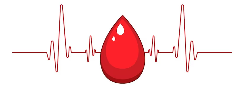 Blood Circulation: Stages, Signs & Functions of Heart in Healthy Blood Circulation