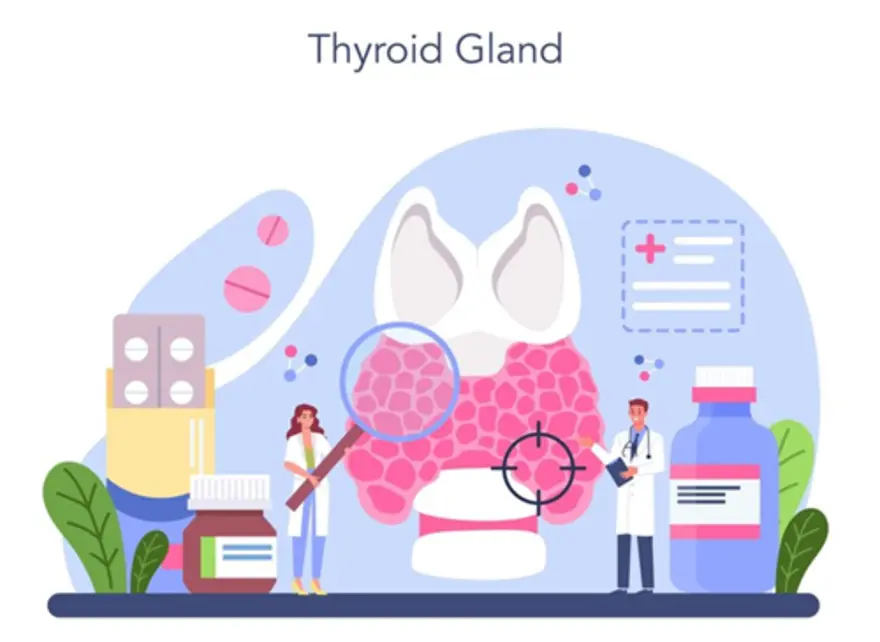 What is Hyperparathyroidism? Symptoms, Causes, and Treatment Options