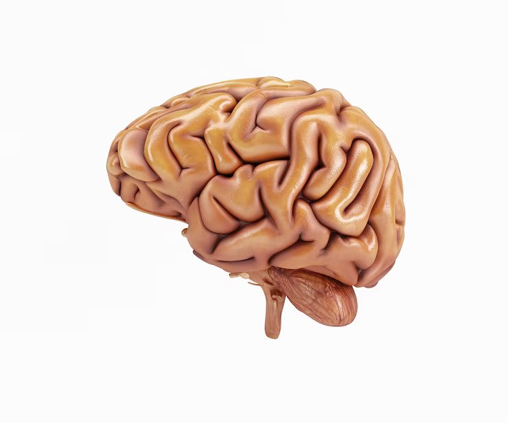 Hypopituitarism: Symptoms, Causes, Diagnosis & Treatment Options