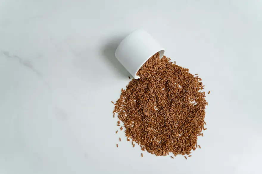 Is Brown Rice Good for Diabetes? How It Can Help Manage Blood Sugar Levels