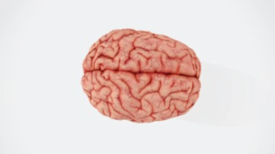 Ischaemic Stroke: Prevention, Warning Signs & Recovery Tips