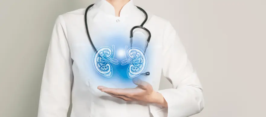 Kidney Biopsy : Procedure, Test, and Report