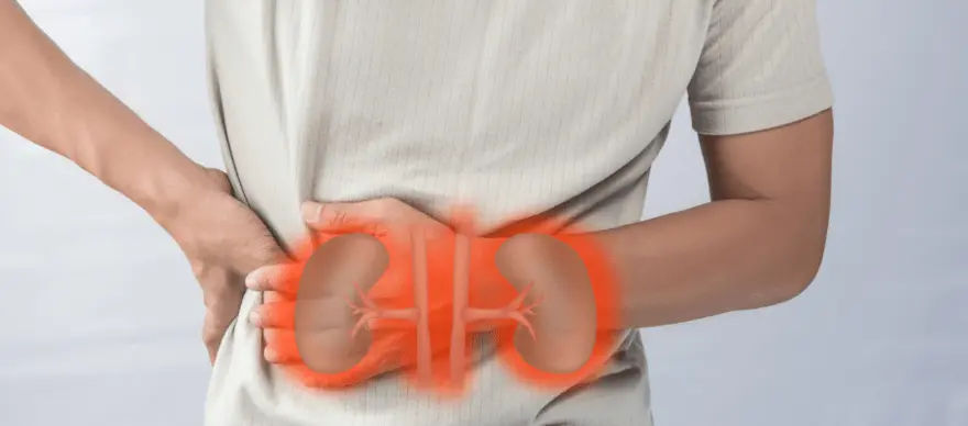 Kidney Cancers: Symptoms, Diagnosis and Treatment