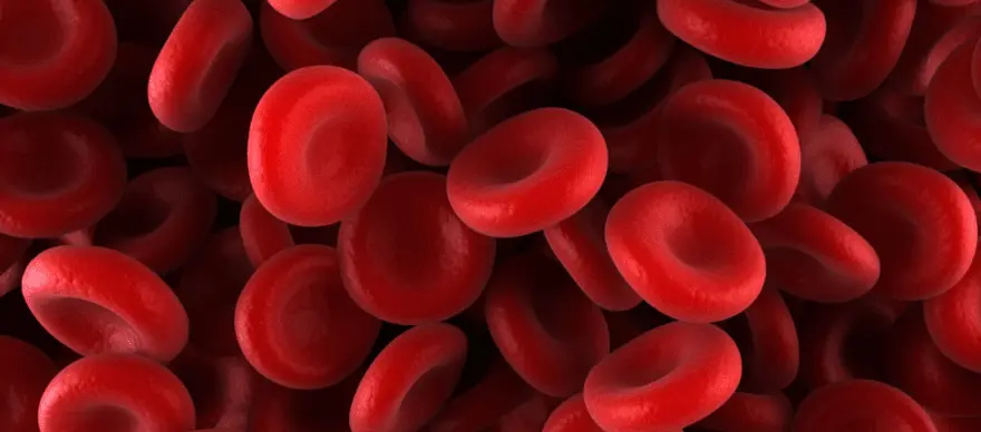 All You Need to Know About Myelodysplastic Syndrome