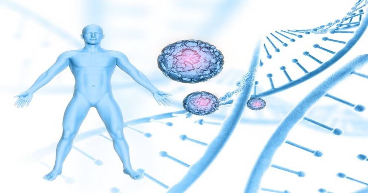 Everything You Need To Know About Lymphoma Nodes