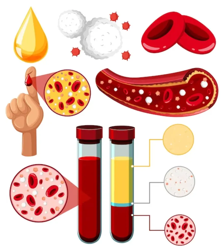 MCH Blood Test (Mean Corpuscular Hemoglobin): Insights and Analysis