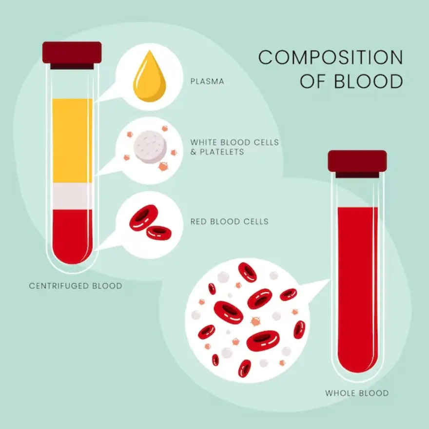 MCHC Blood Test: Normal Ranges, Variations & Result