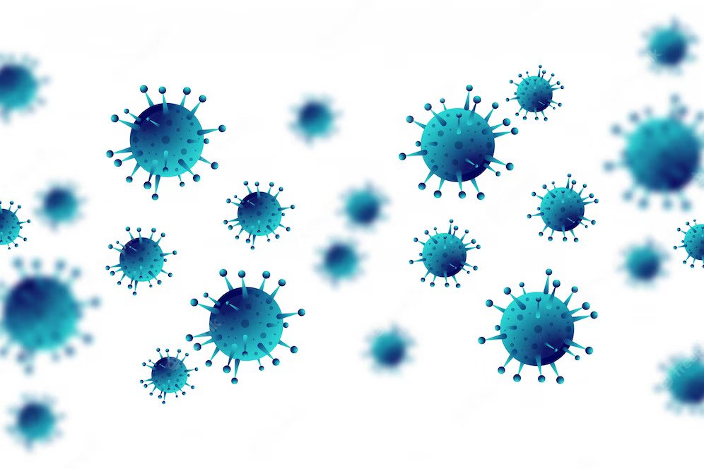 Measles: Everything You Need to Know