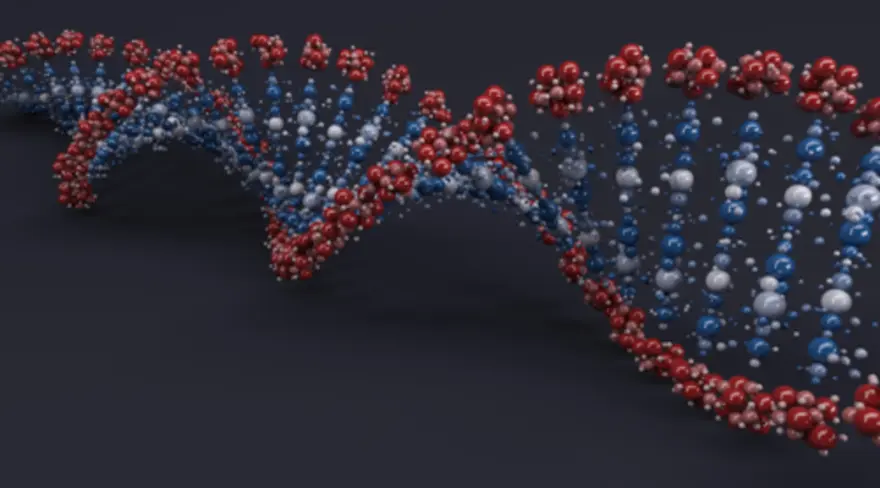 Meiosis & Mutations: Is This How Genetic Errors Are Passed Down?