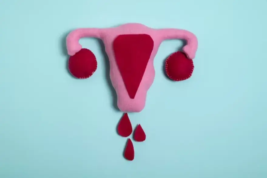 Demystifying the Menstrual Cycle (Period): Phases and Menstruation Explained
