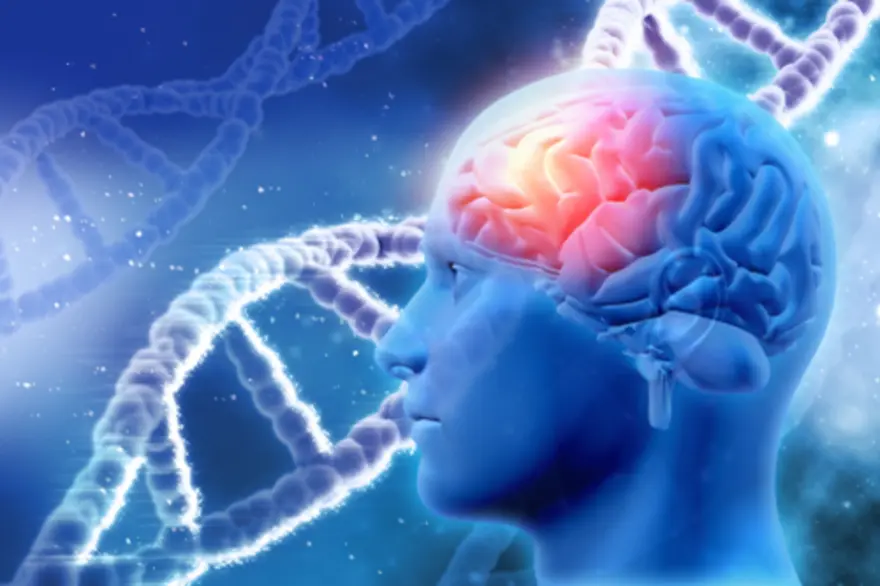 A Comprehensive Guide to Understanding and Managing Migraines