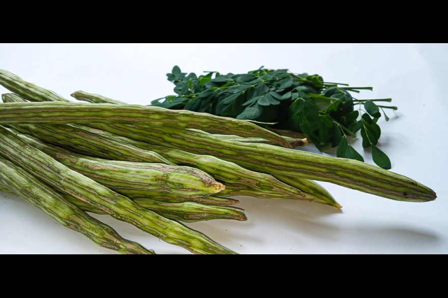 Drumstick (Moringa) Benefits: A Natural Immunity Booster