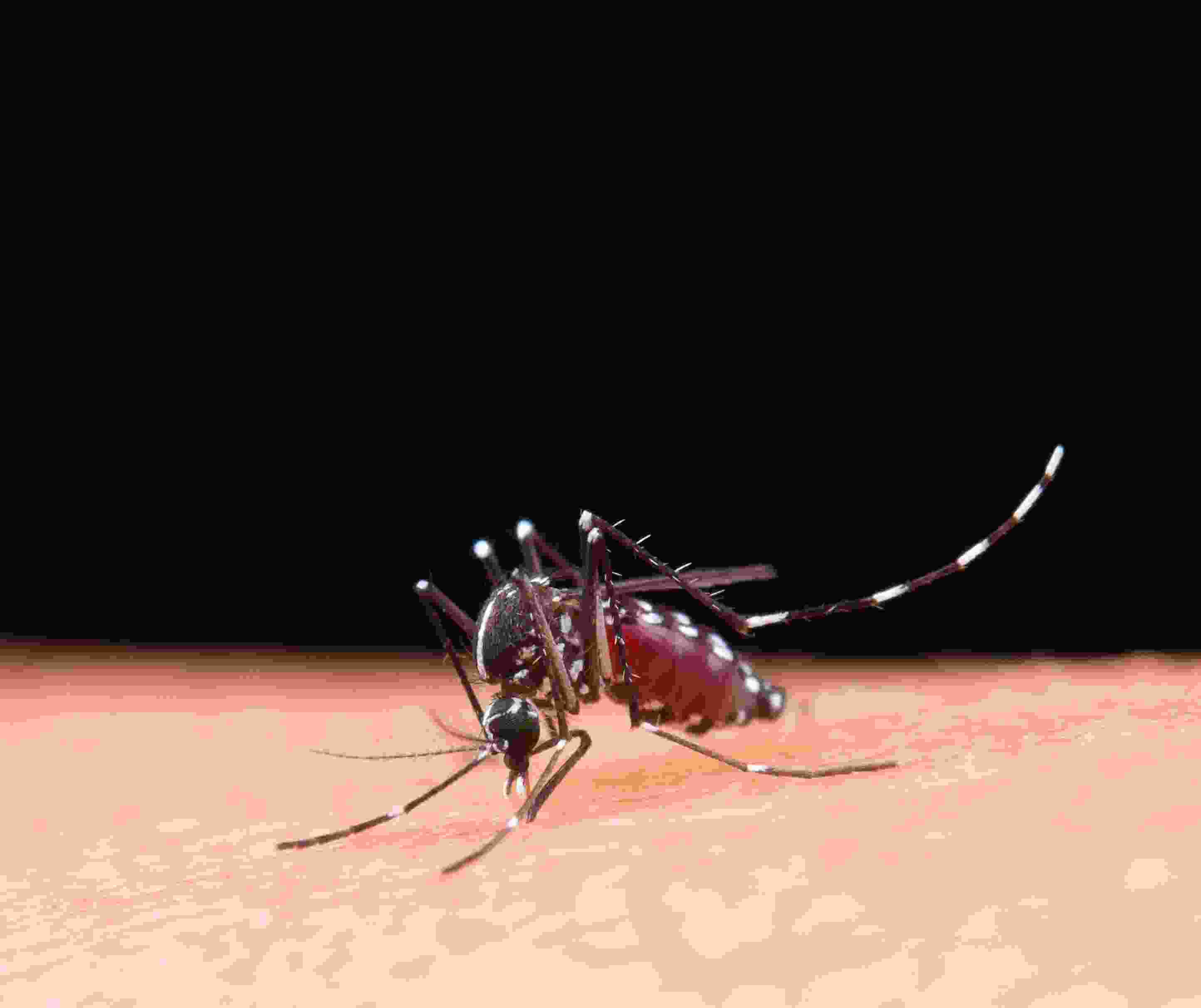 10 Warning Signs and Symptoms of Dengue Fever