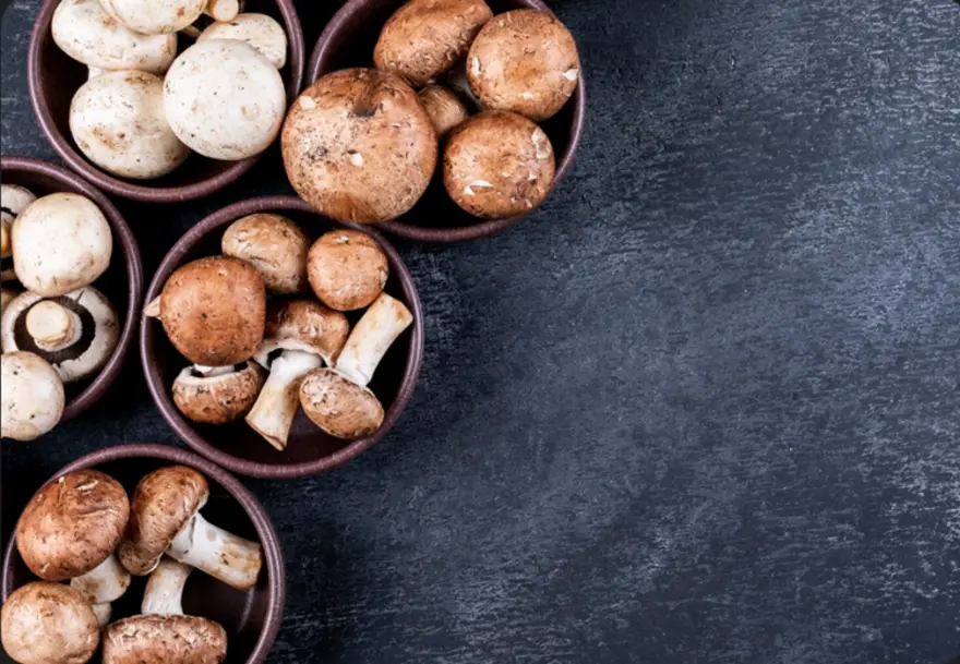 Benefits of Mushroom: Nutrition, Health Uses & How to Eat