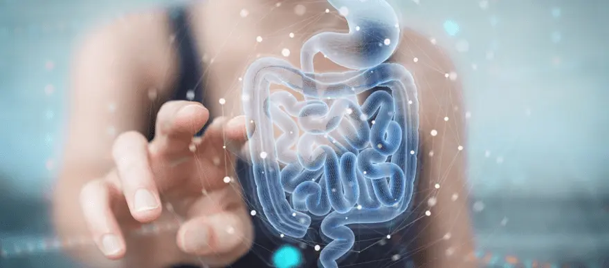 How to Improve Gut Health | 7 Ways to Increase Good Bacteria in Gut Naturally